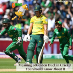 Meaning of Golden Duck in Cricket: You Should Know About It