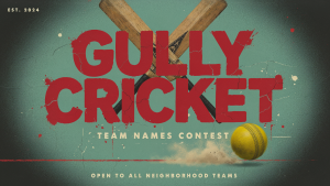 Gully Cricket Team Names for Friends